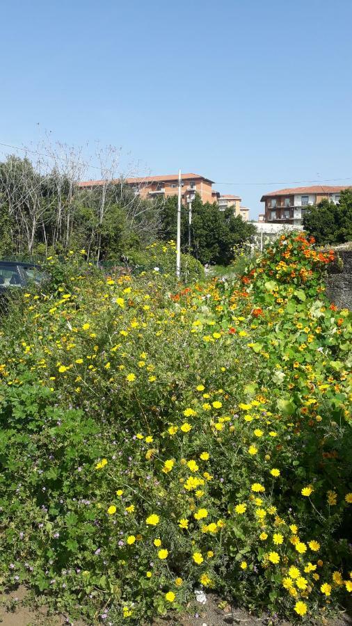 카타니아 Carrubo - Giardino In Citta 빌라 외부 사진